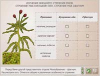 Лабораторная Работа Мох Лабораторная Работа Мох