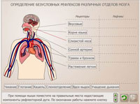 Определение безусловных рефлексов различных отделов мозга.