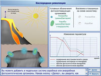 Кислородная революция